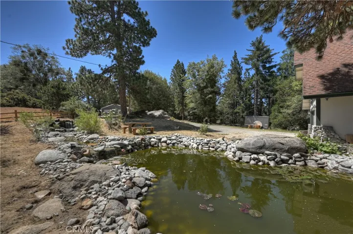 The Pond