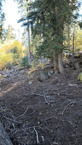 0 Cherry, Big Bear Lake, California 92315 — photo 5