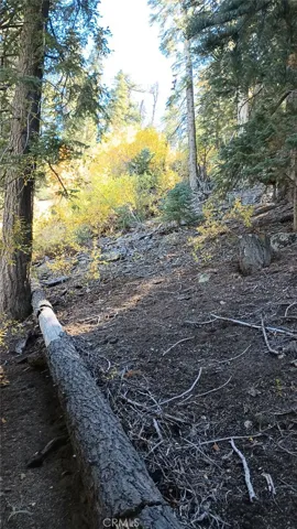 0 Cherry, Big Bear Lake, California 92315 — photo 4