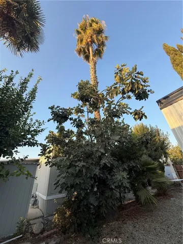 8801 Eton Avenue 64, Canoga Park, California 91304