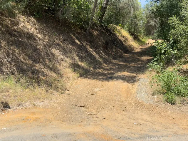 Road to Property at Miller Rd/Old Highway