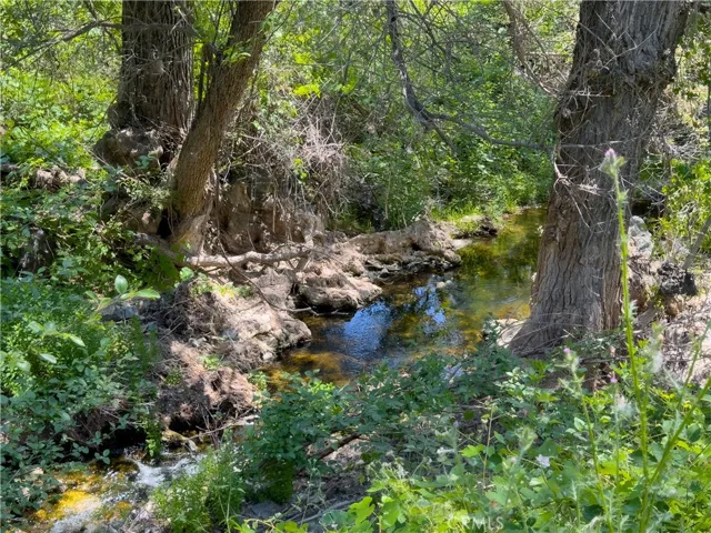 Mariposa Creek