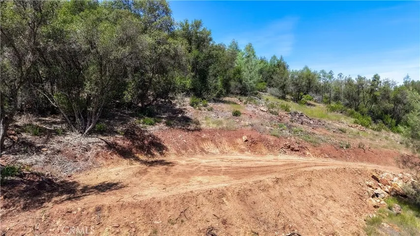 Potential Build Site