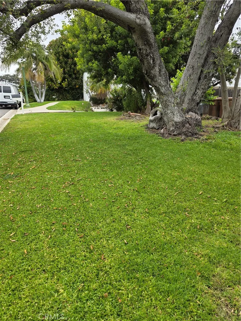 FRONT YARD OF DOUBLE LOT TOWARD HOME