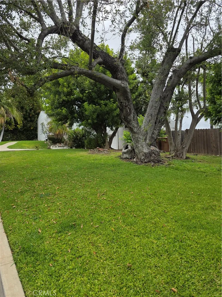 SHOT OF DOUBLE LOT FROM CURB- BACK YARD IS BEYOND FENCE