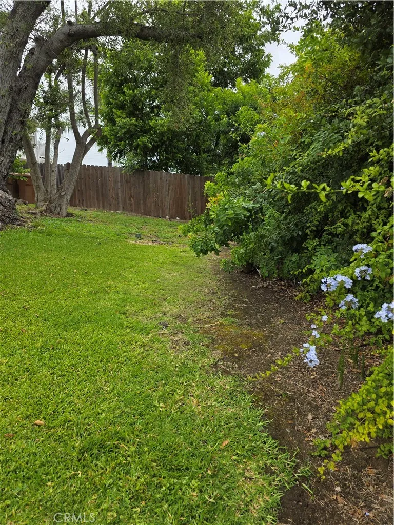END OF DOUBLE LOT TOWARD BACK YARD