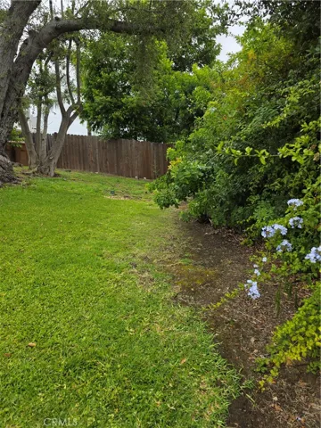 END OF DOUBLE LOT TOWARD BACK YARD