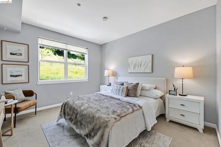 Carpeted bedroom featuring light gray walls, a broad window with roller shades, and a ceiling-mounted light fixture