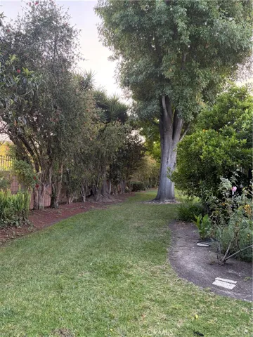 Peaceful and serene front yard