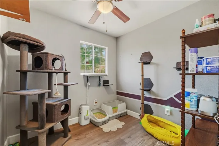 This room is not accessible to view until an offer has been accepted.  Owner has cats in there and does not want to stress them out.
