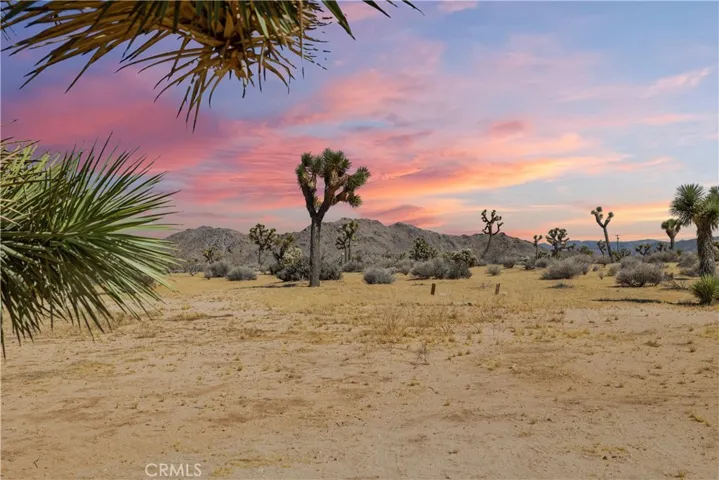 Beautiful Desert Views