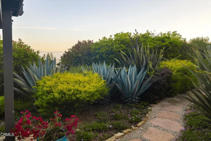 garden 5