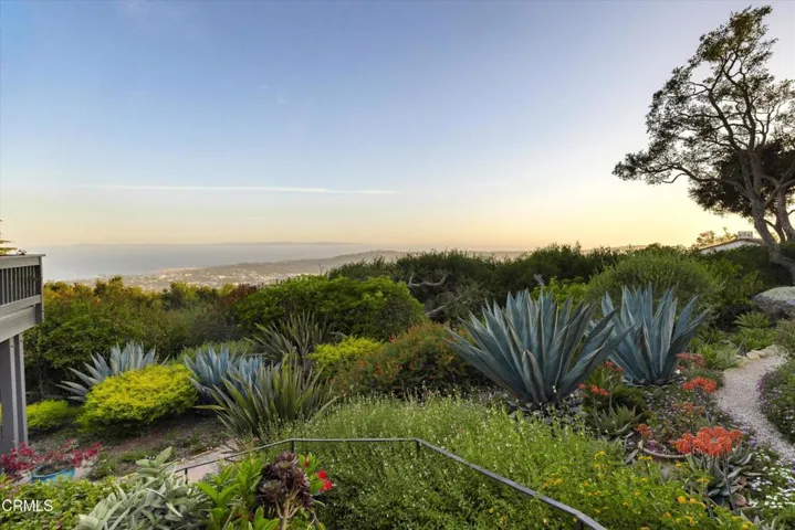 garden and view