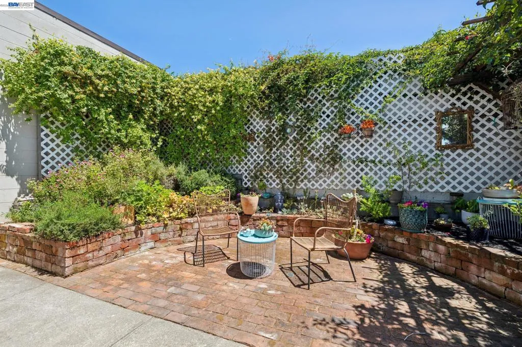 Back Patio