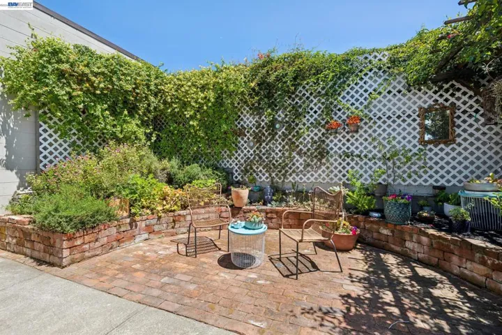 Back Patio