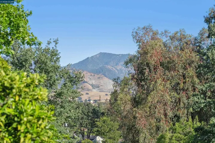 Mt Diablo Views