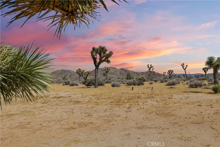 Beautiful Desert Views
