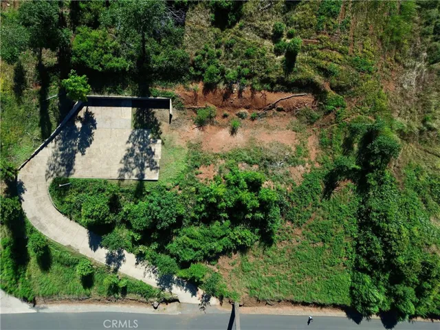Existing curved concrete driveway leading to the elevated homesite area.