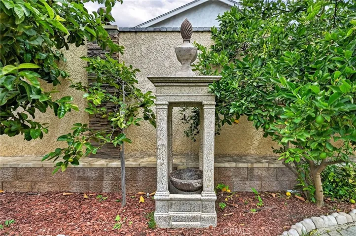 Water Fountain in the backyard