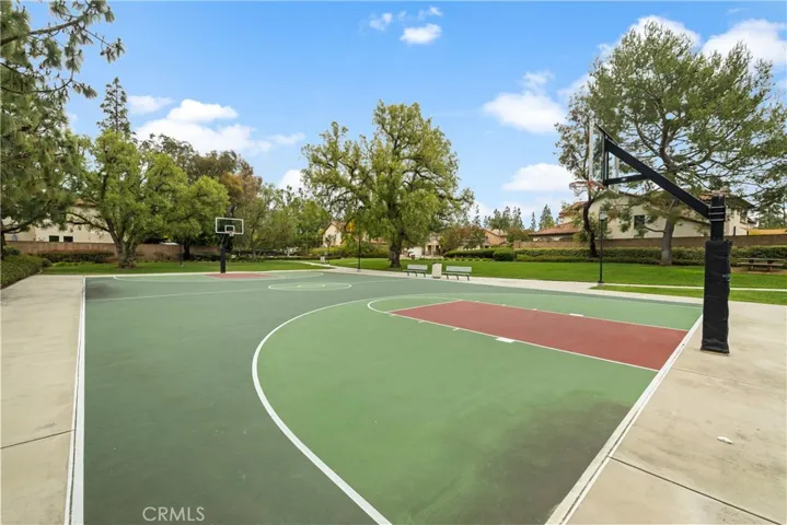 Basket ball court