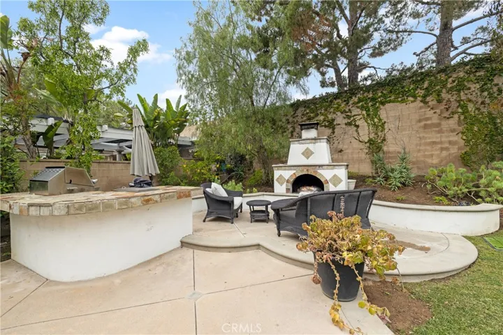 Fireplace and Built-in grill