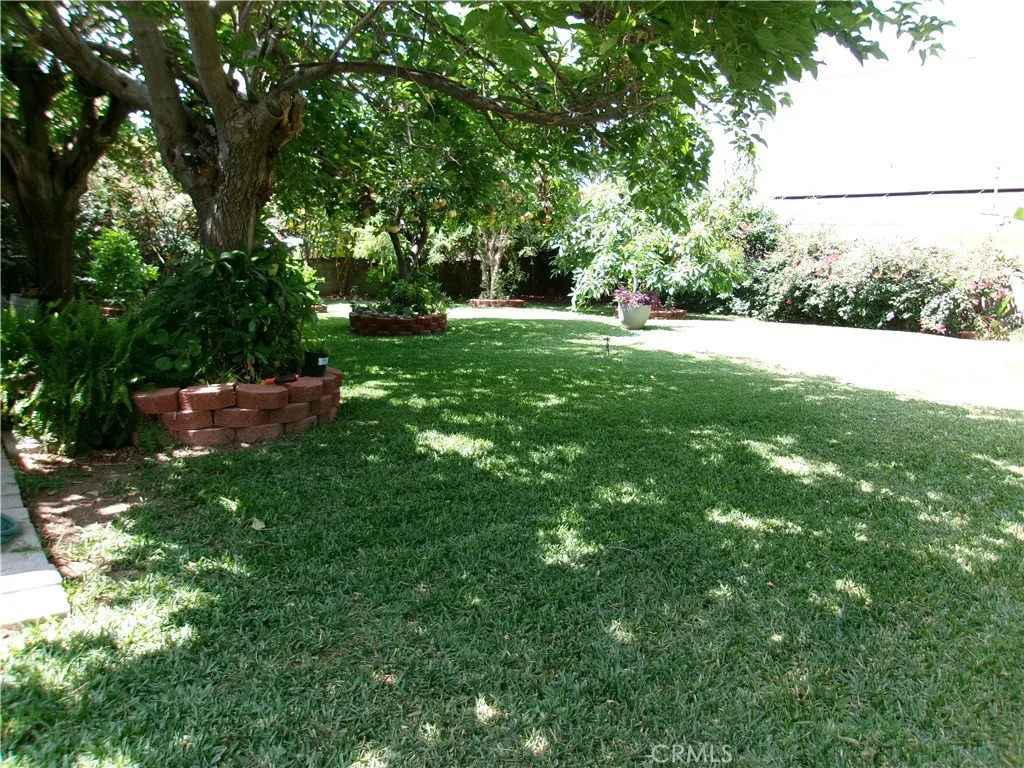 BACK YARD