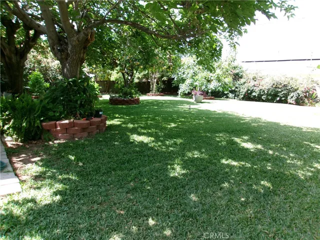 BACK YARD