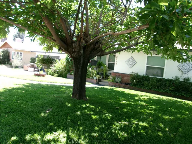 3720 Camellia, San Bernardino, California 92404