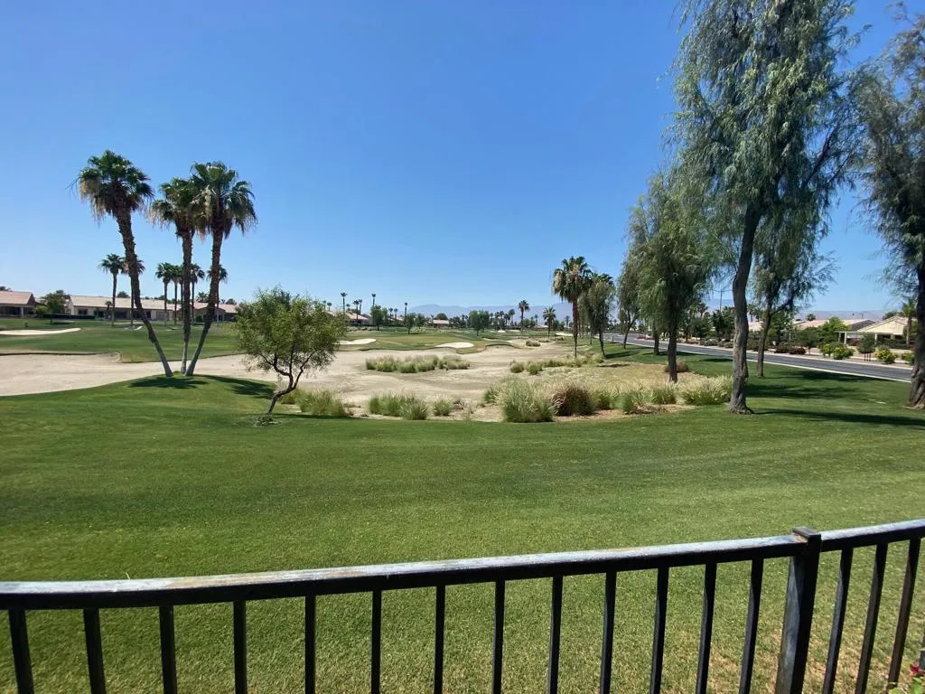 Backyard Golf Pic