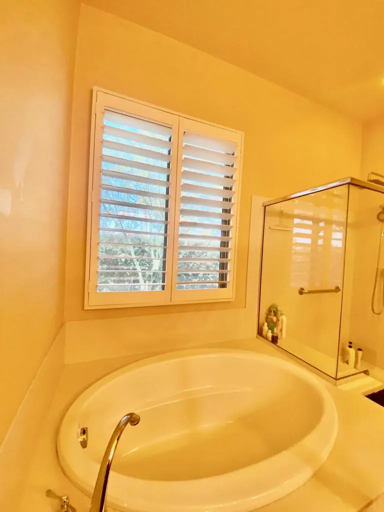Owners Bathroom