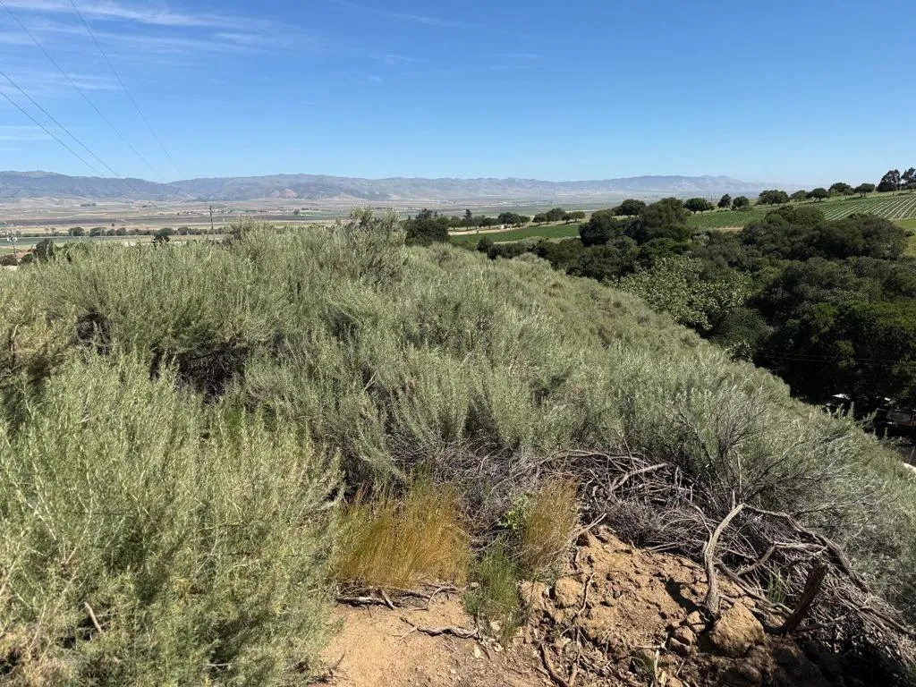 0 River Road, Salinas, California 93908 — photo 5