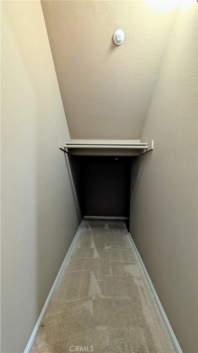 Downstairs coat/storage closet