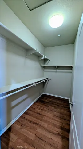Primary Bedroom - Walk-in Closet 2