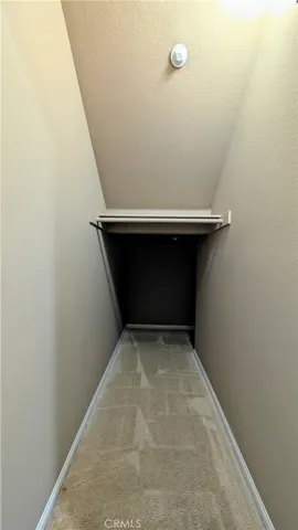 Downstairs coat/storage closet