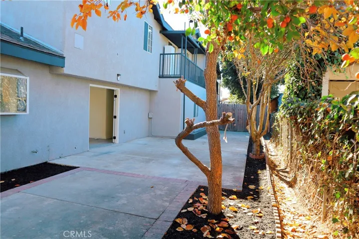 Side Patio