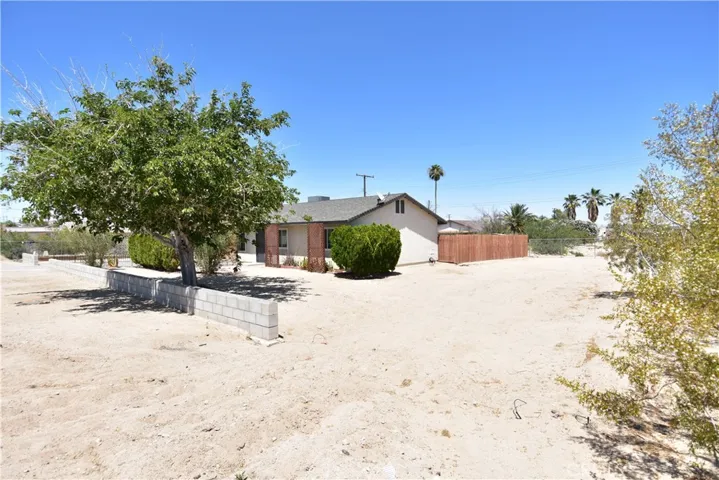 6245 Baileya, 29 Palms, California 92277