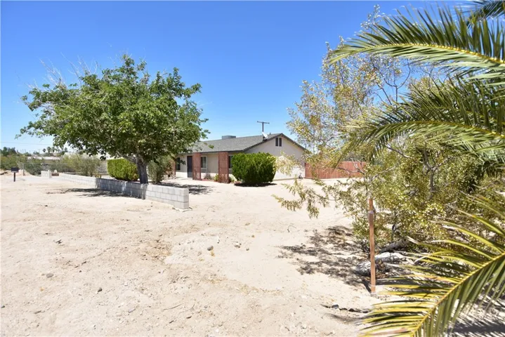 6245 Baileya, 29 Palms, California 92277