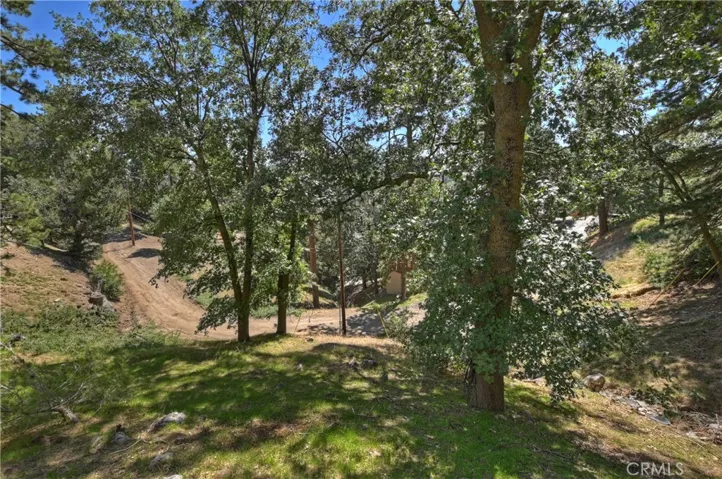 Back yard