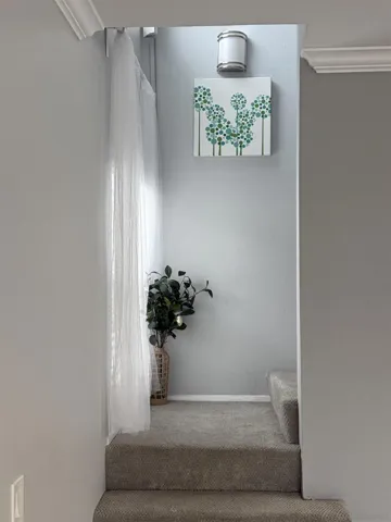 https://zimg.paragon.ice.com/ParagonImages/Property/PA/SDMLS/-525035/23/120/90/e769440d4e206c2aad783f2f83797646/3/7b61a9703858878e8db9fd4c5a0dca79/-525035-630fa8a6-b91e-4e78-86cc-a091d02e30d2.JPG