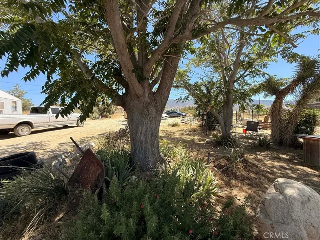 10623 Desert View, Pinon Hills, California 92372