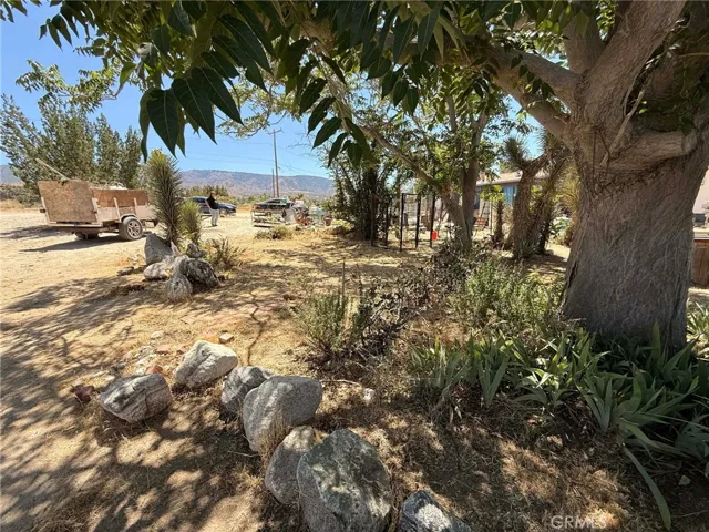 10623 Desert View, Pinon Hills, California 92372