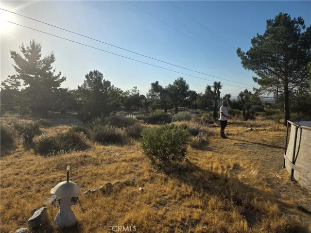 10623 Desert View, Pinon Hills, California 92372