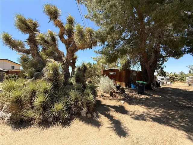10623 Desert View, Pinon Hills, California 92372