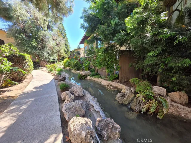 Meander in Nature:  Tress, Waterways and Paths