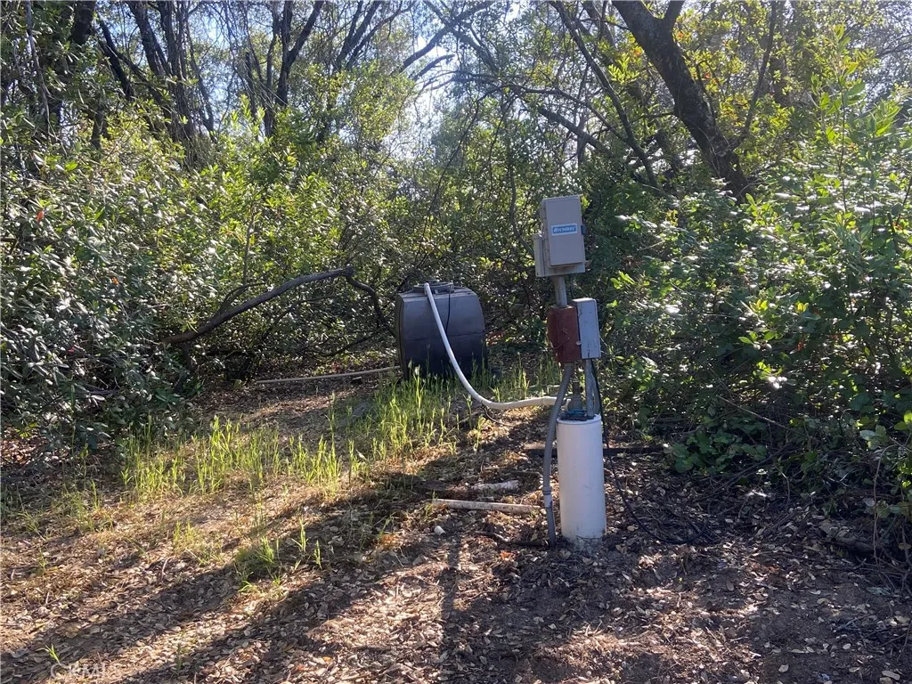 Well head, well pump and small water storage tank.