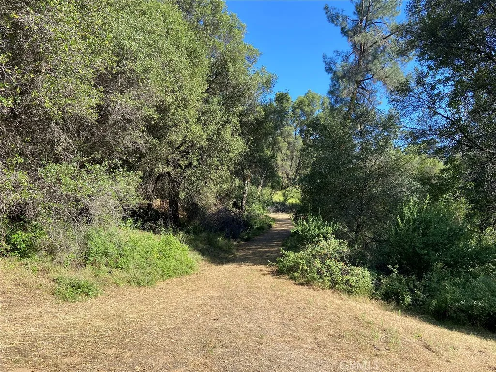 The driveway is graveled and packed, very easy access.