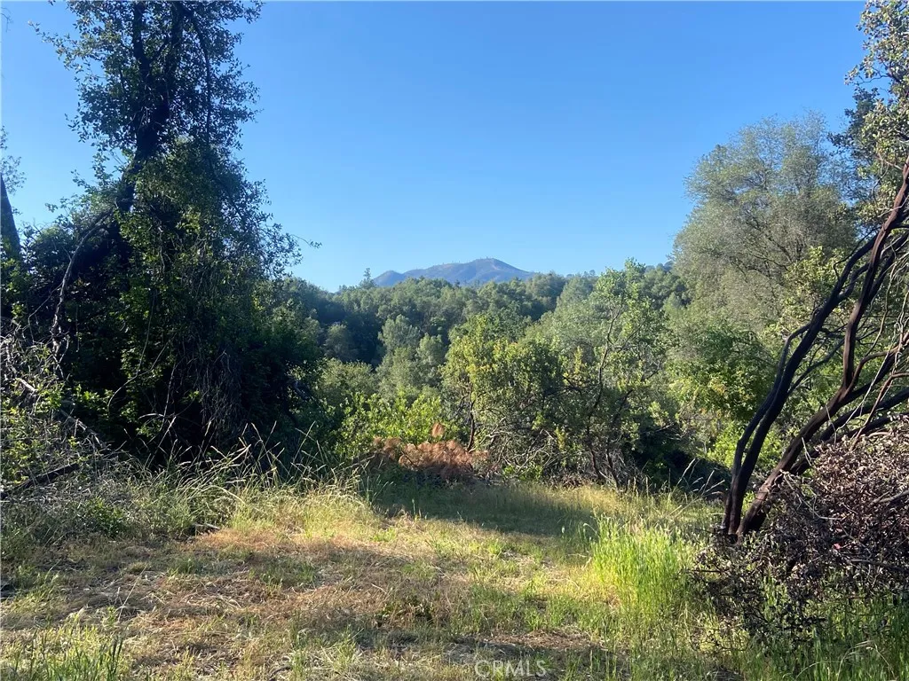 Possible additional building site with a great view!
