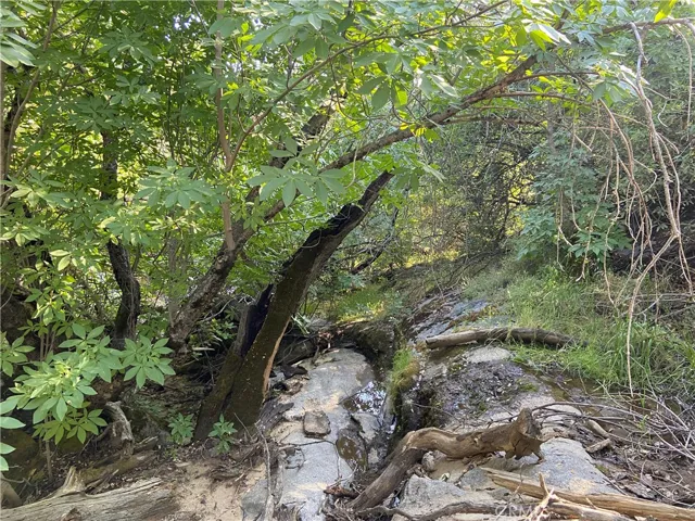 A Seasonal Creek Runs through it!