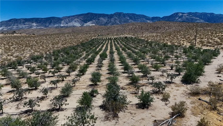 735 Midway Avenue, Lucerne Valley, California 92356