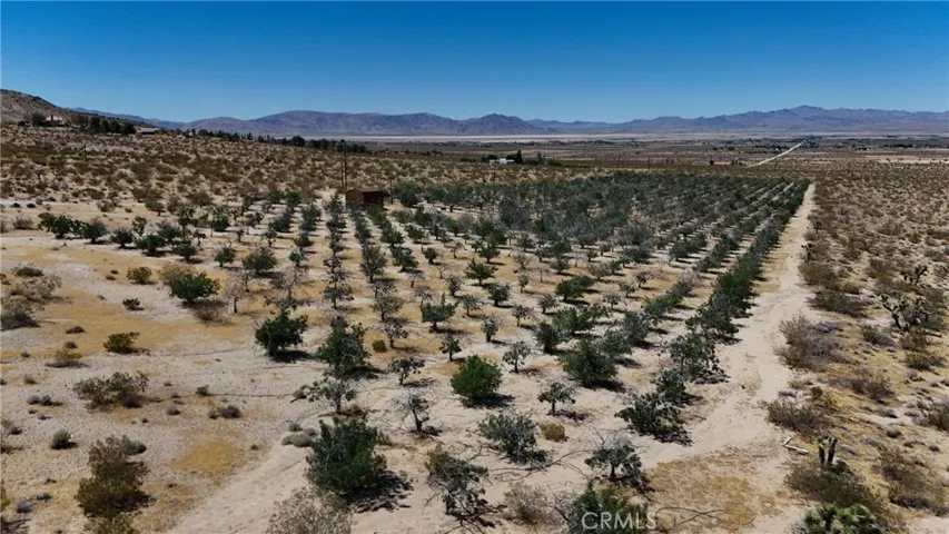 735 Midway Avenue, Lucerne Valley, California 92356